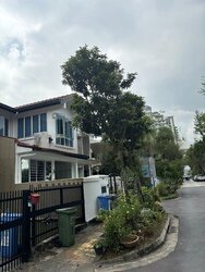 Mount Sinai (D10), Terrace #456399111